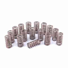 Piper Uprated Single Valve Spring Set