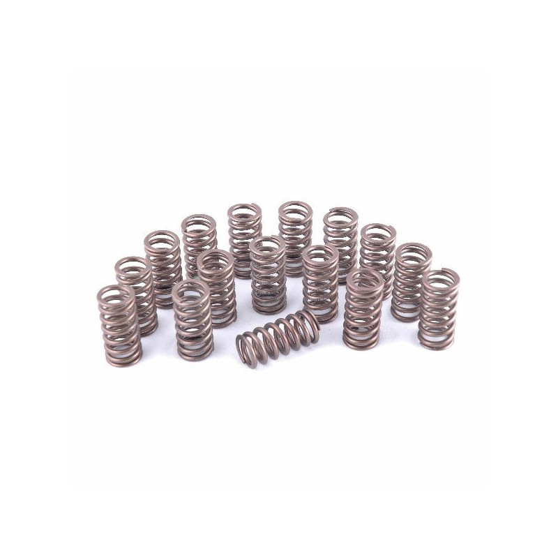 Piper Uprated Single Valve Spring Set