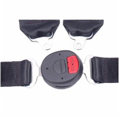 Schroth 4-Point Safety Harness